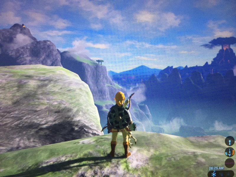 Illustration for article titled Here are Some of my Favorite Screenshots from The Legend of Zelda: Breath of the Wild